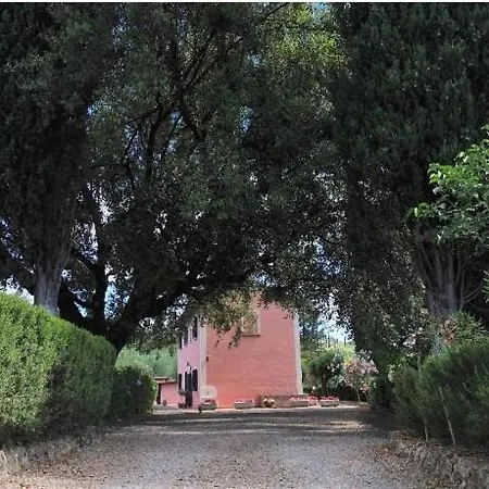 Podere Il Leccione Palaia
