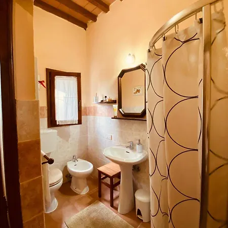 Podere Il Leccione * Palaia