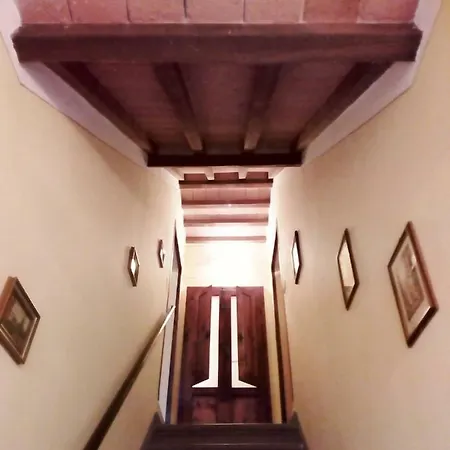 Holiday home Podere Il Leccione
