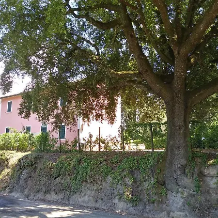 Podere Il Leccione Palaia