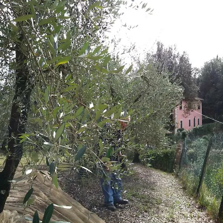 Podere Il Leccione * Palaia